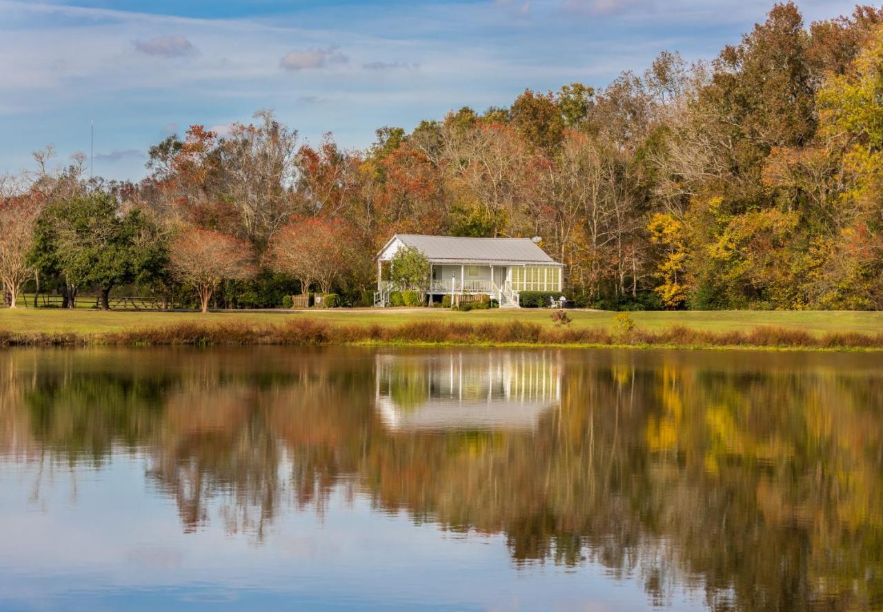 Maison D'Memoire Bed & Breakfast Cottages Rayne Bagian luar foto